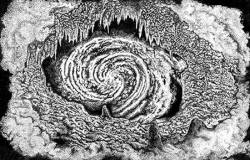 Predatory Light : MMXIV Predatory Light : MMXIV